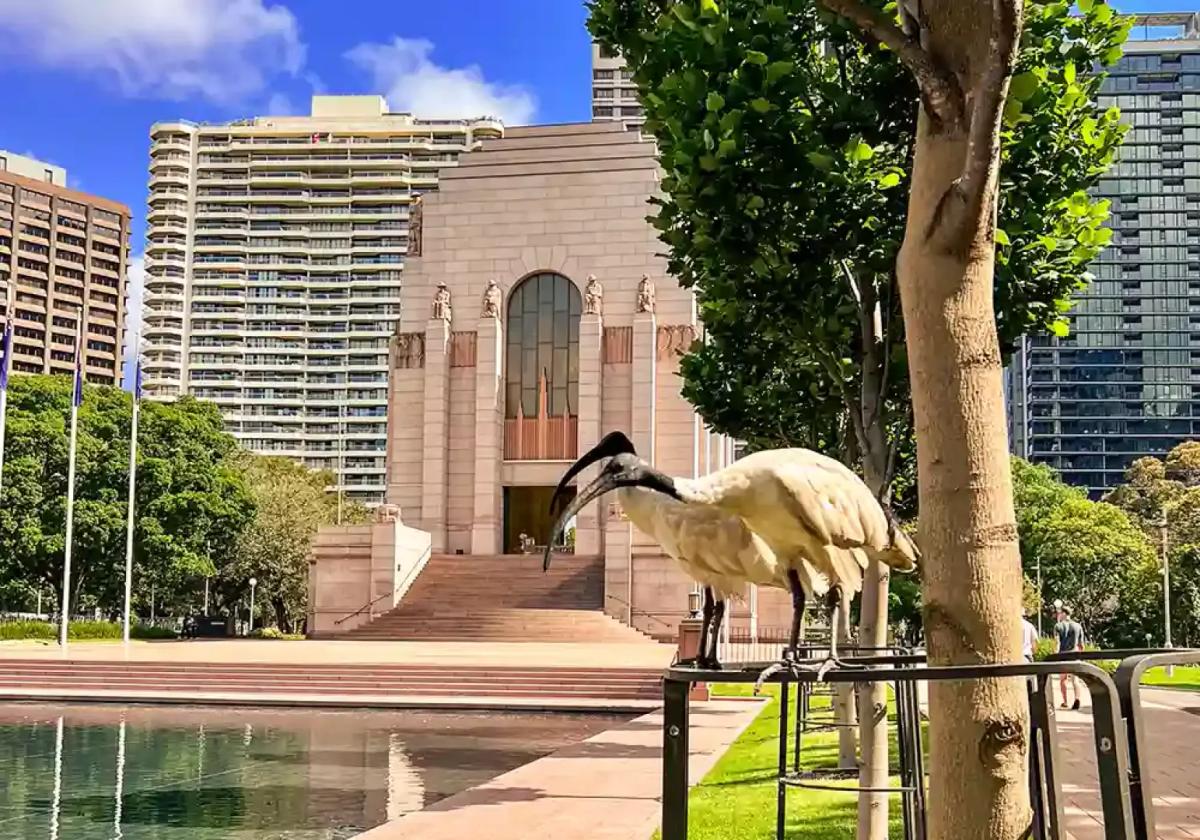 Photos of Secret Food Tours: Sydney