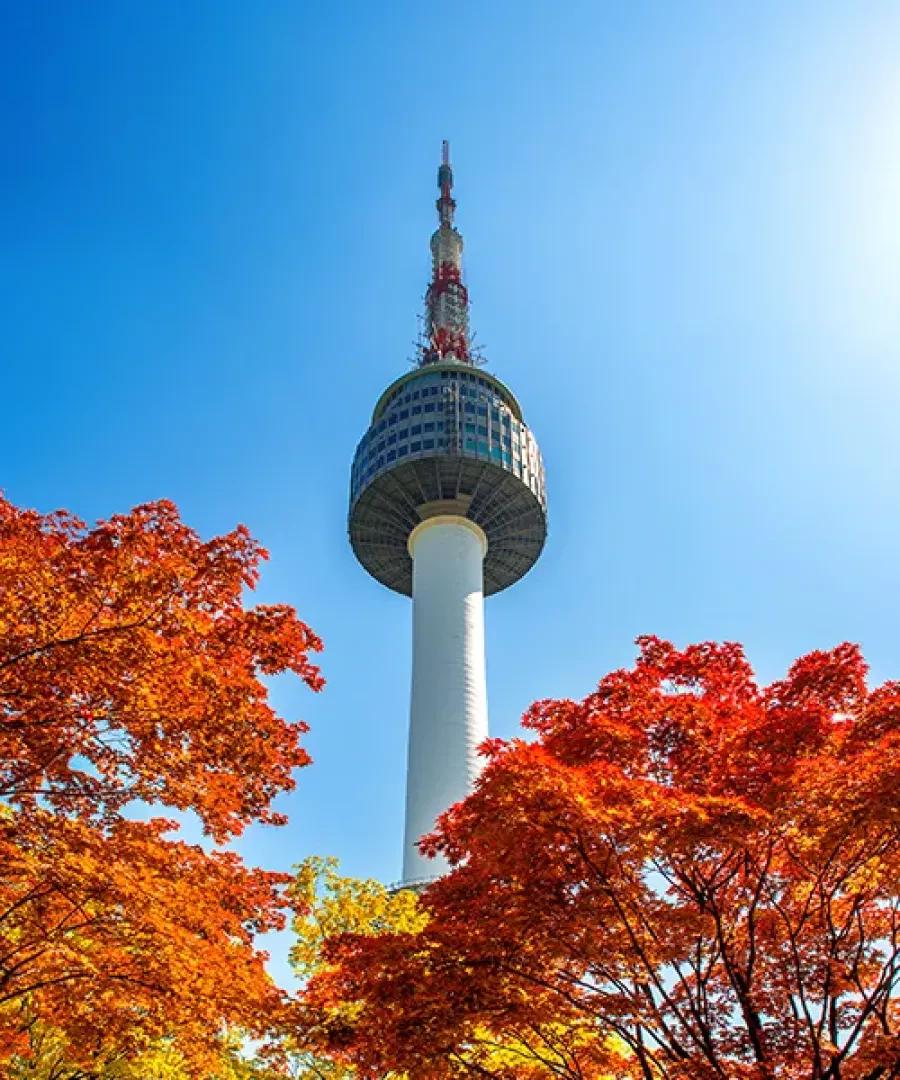 Seoul Food Tour - Secret Food Tours