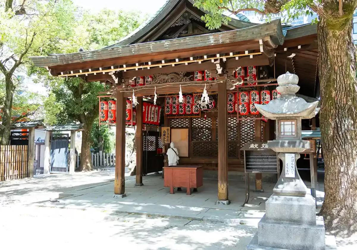 secret-food-tours-osaka-image-6