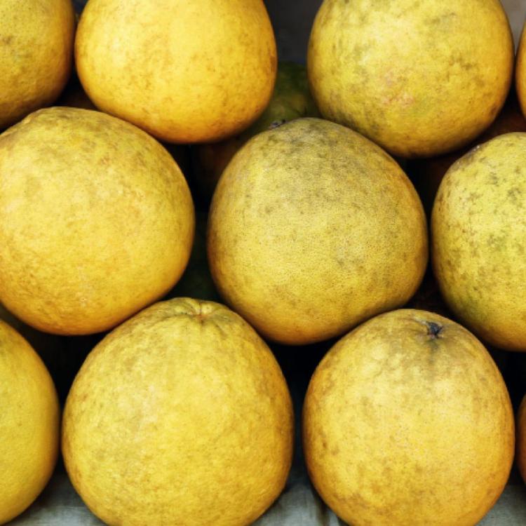 PHOTOS OF SECRET TOURS Chiang Mai