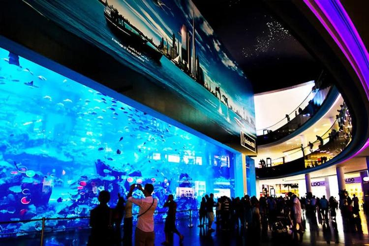 PHOTOS OF SECRET TOURS Dubai