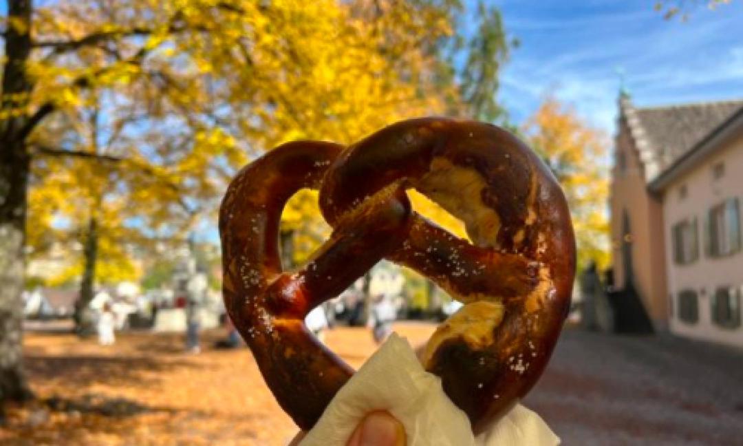 Why Zürich Altstadt