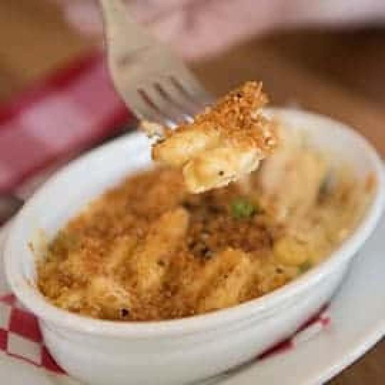 PHOTOS OF SECRET TOURS Las Vegas