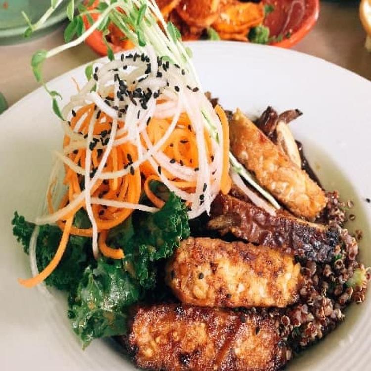 PHOTOS OF SECRET TOURS San Antonio