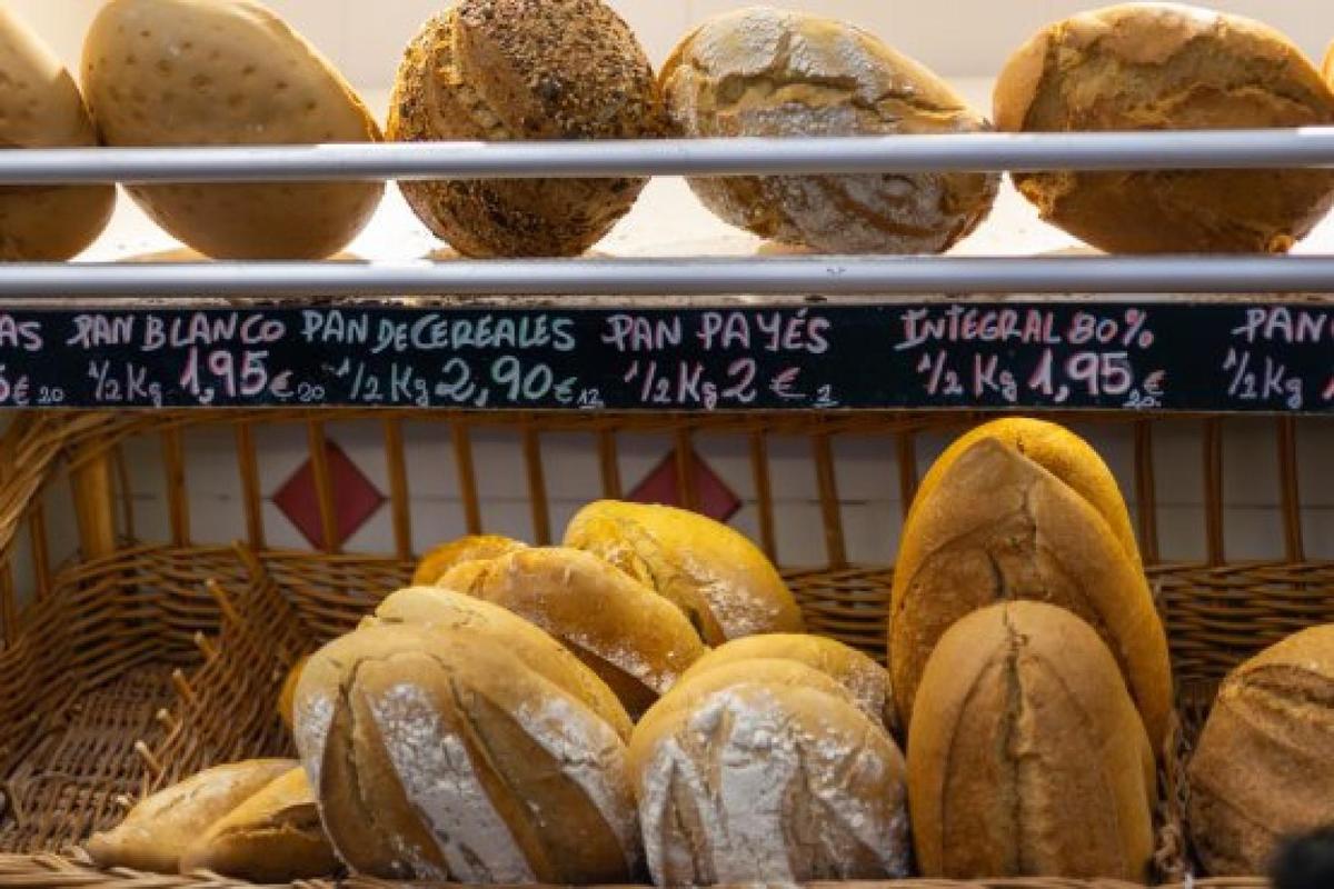 Photos of Secret Food Tour: Malaga