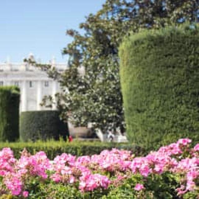 PHOTOS OF SECRET TOURS Madrid