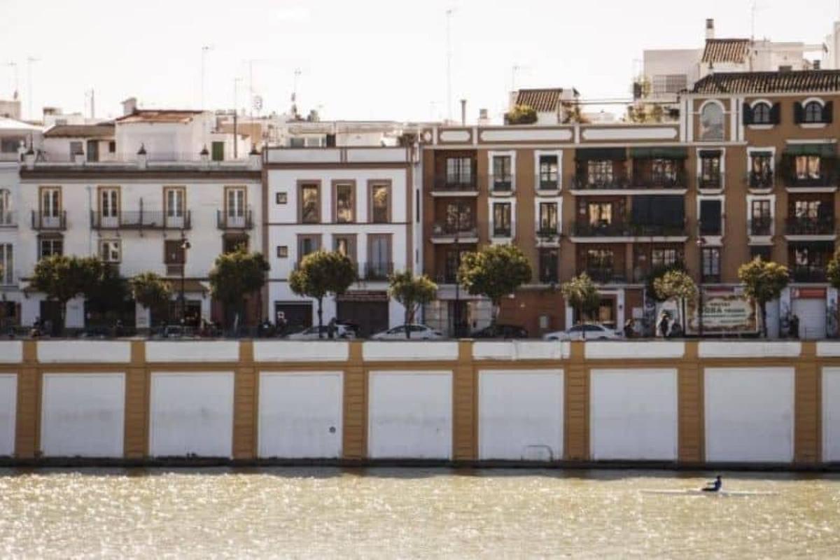 Photos of Secret Food Tours: Seville