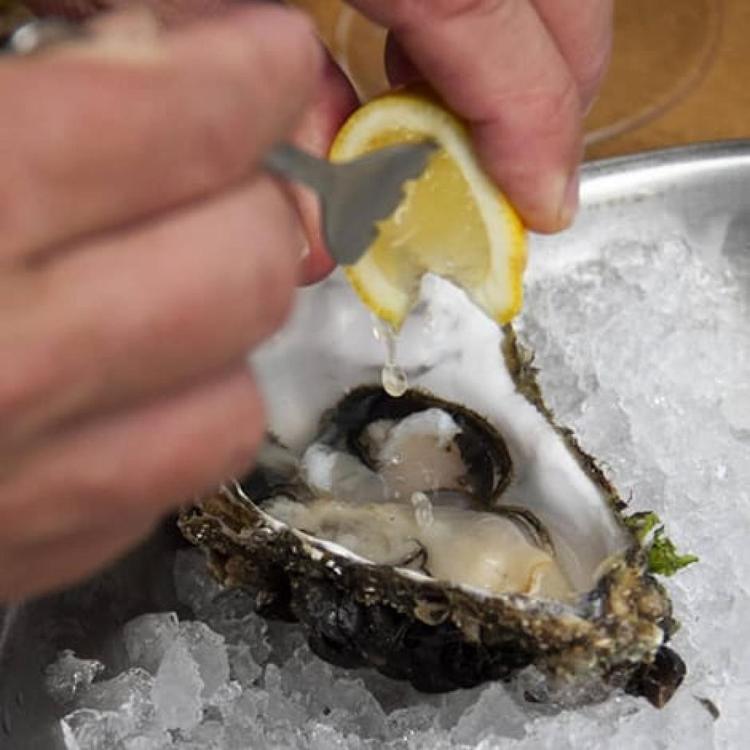 PHOTOS OF SECRET TOURS SAN SEBASTIAN