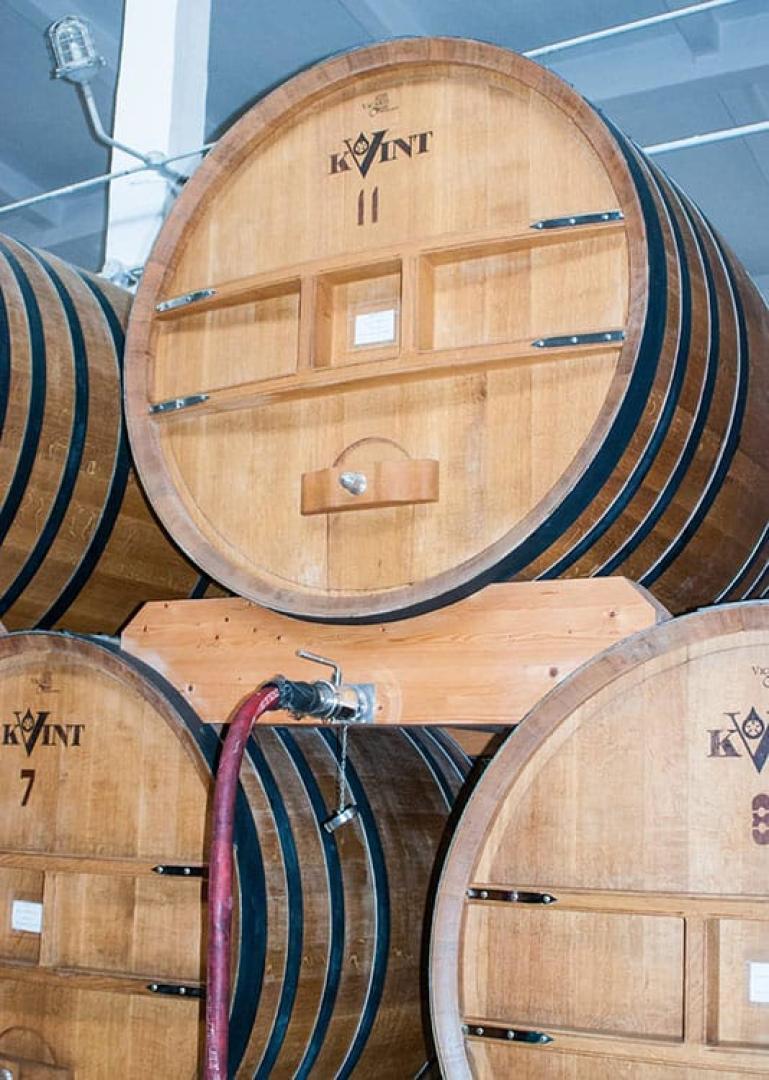 Tiraspol Food Tour - Secret Food Tours