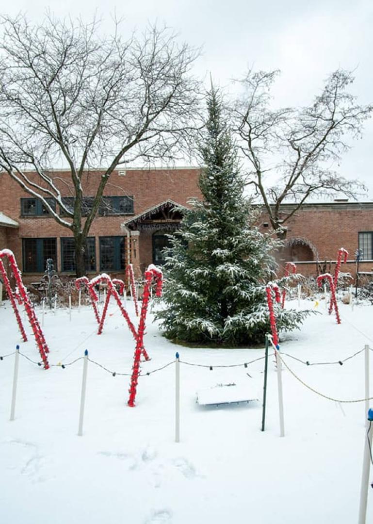 Janesville Food Tour - Secret Food Tours