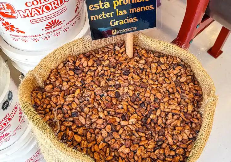 secret-food-tours-oaxaca-city-image-4