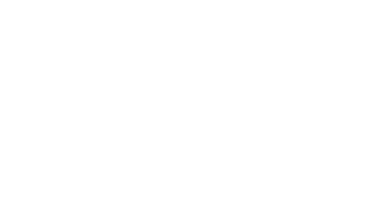 traveler